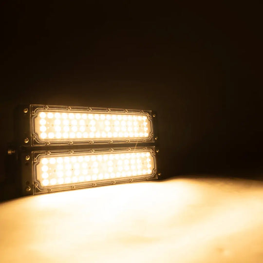 100w Warm White Floodlight