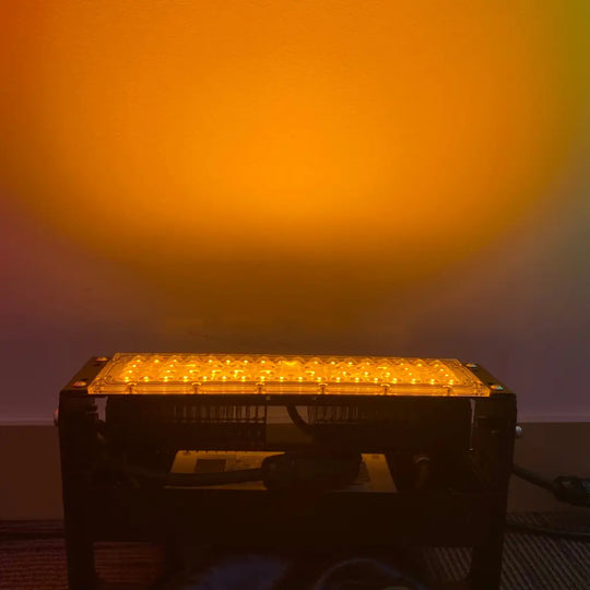 100w Yellow Floodlight