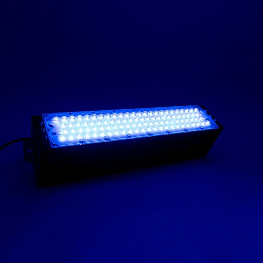 50w Blue Floodlight