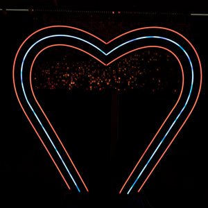 GIANT Heart NEON Multi-Colour w Stands