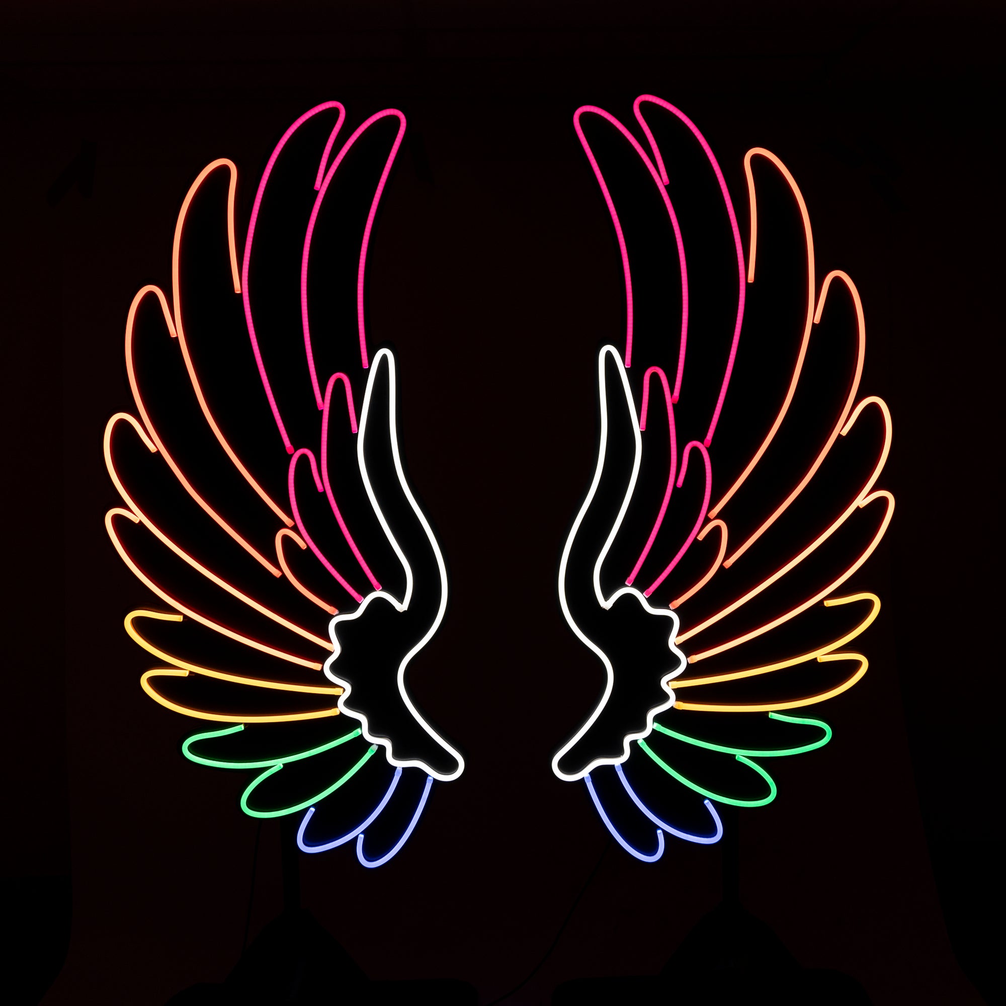 Angel Wings Colourful Neon
