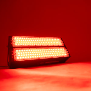 Floodlight by Flexible Neon Red 100w incl. Transformer