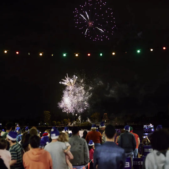 Brisbane E27 Festoon 20m Black Flat Cable Hire